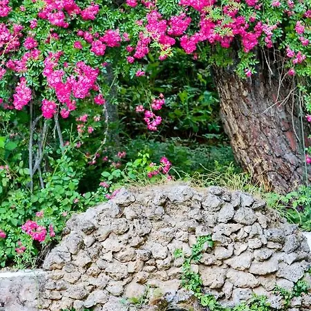 Hotel Rural Noguera De La Sierpe